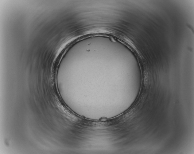 X0000100191116200806201351