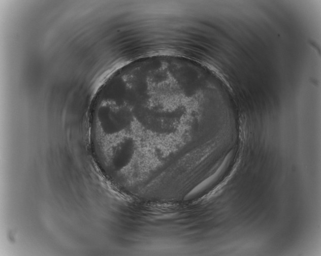 X0000100191117200806201351