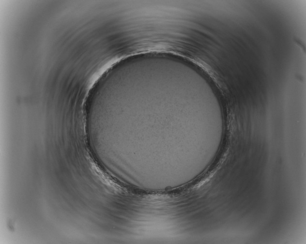 X0000100191118200806201351