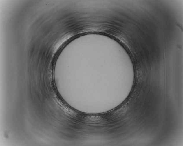 X0000100191119200806201351