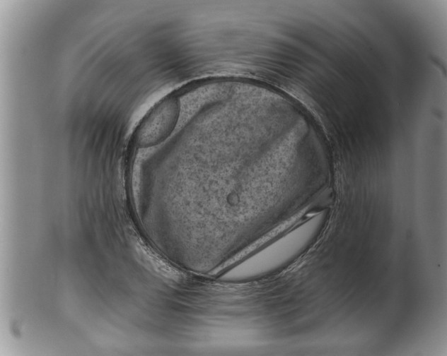 X0000100191120200806201351