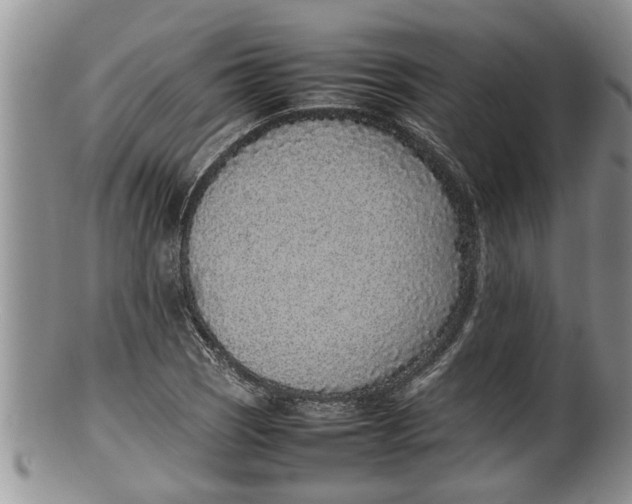 X0000100191121200806201351