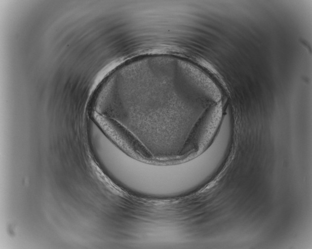 X0000100191122200806201351