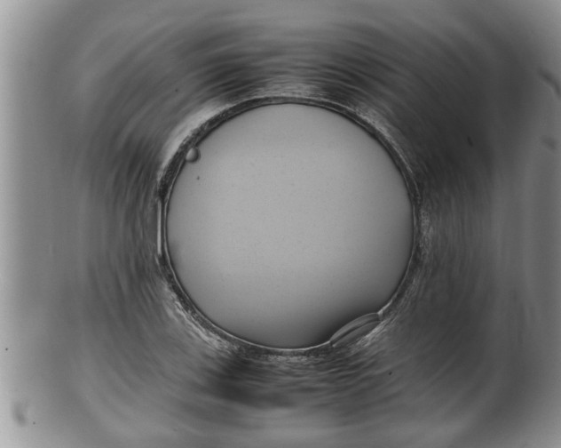 X0000100191123200806201351