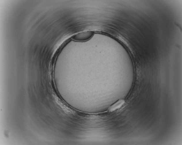 X0000100191124200806201351