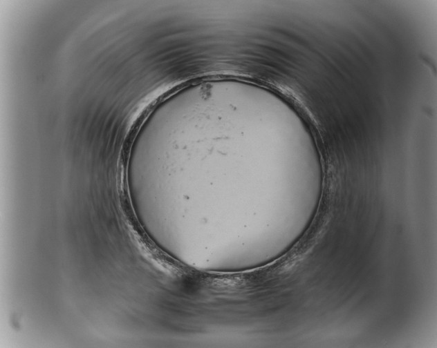 X0000100191125200806201351