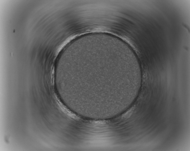X0000100191126200806201351