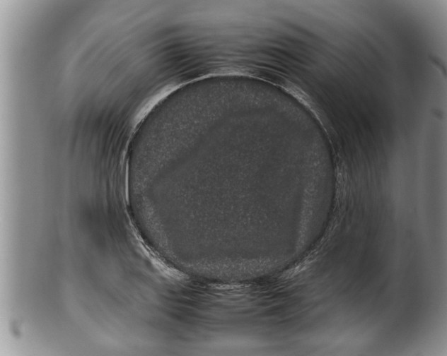 X0000100191127200806201351
