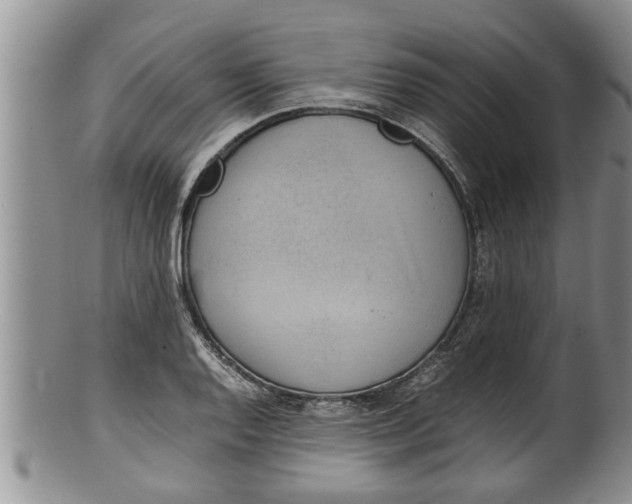 X0000100191128200806201351