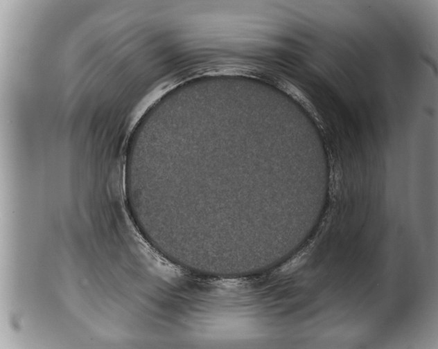 X0000100191130200806201351