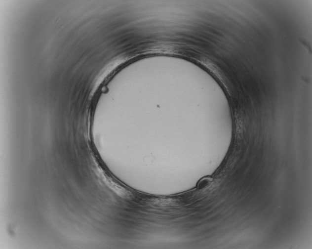 X0000100191131200806201351
