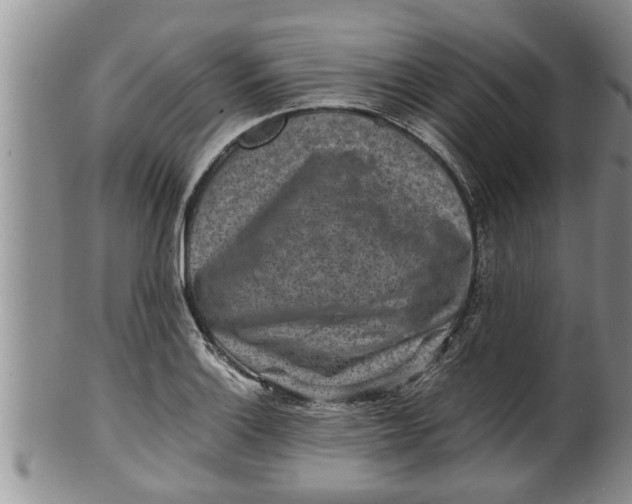 X0000100191132200806201351