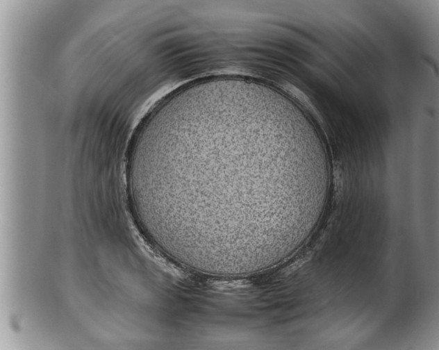 X0000100191133200806201352