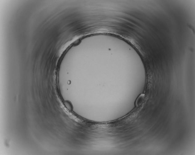 X0000100191134200806201352