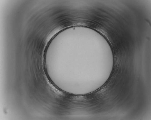 X0000100191135200806201352