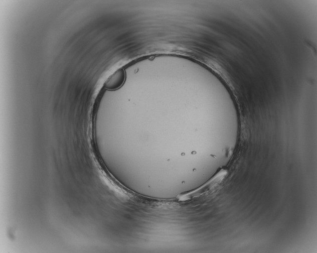 X0000100191136200806201352