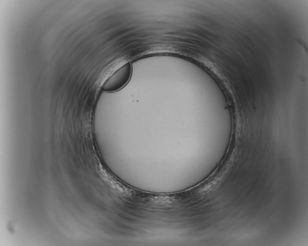 X0000100191137200806201352