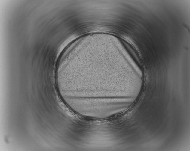 X0000100191138200806201352