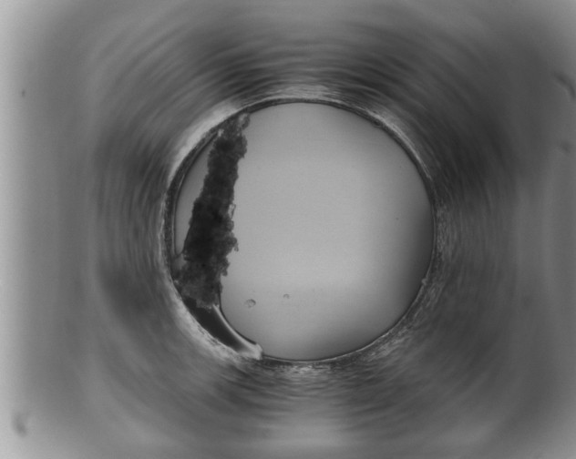 X0000100191139200806201352