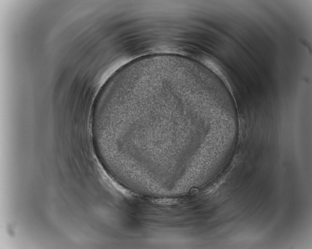 X0000100191141200806201352