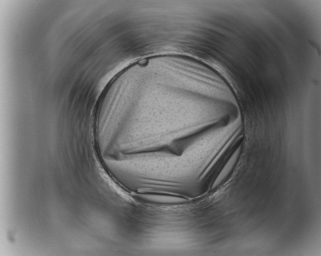 X0000100191142200806201352