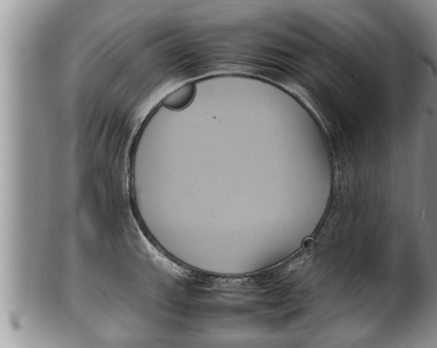 X0000100191143200806201352