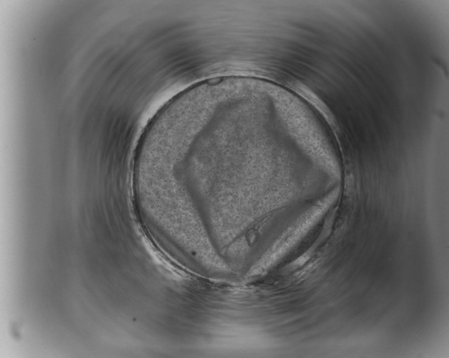 X0000100191144200806201352