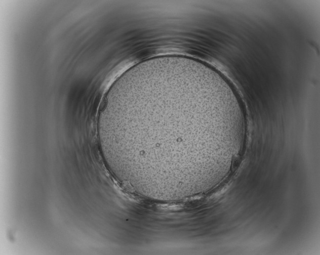 X0000100191145200806201352