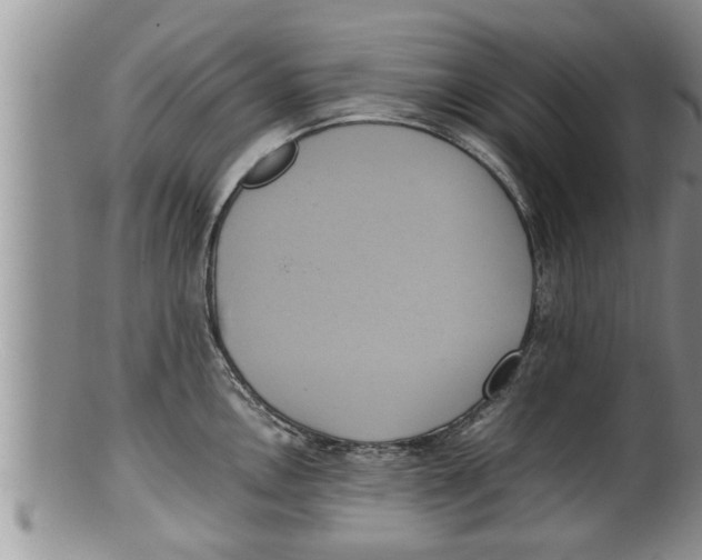 X0000100191146200806201352