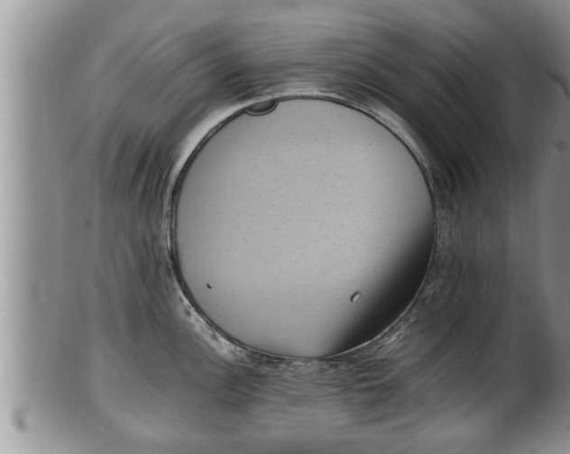 X0000100191148200806201352