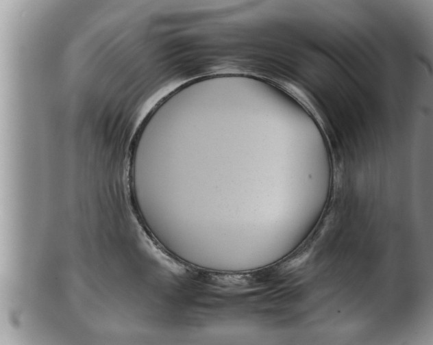 X0000100191149200806201352