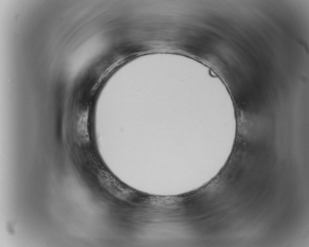 X0000100191150200806201352