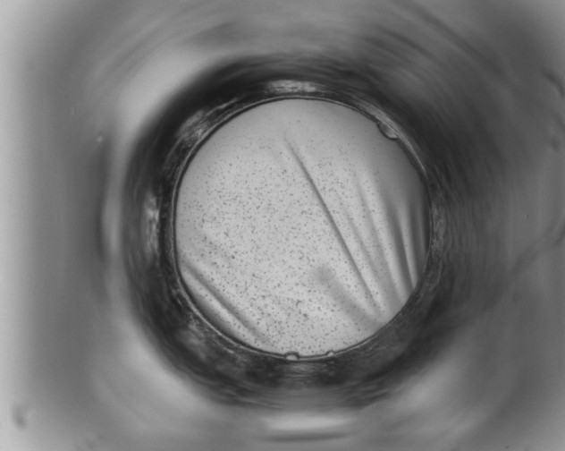 X0000100191151200806201352