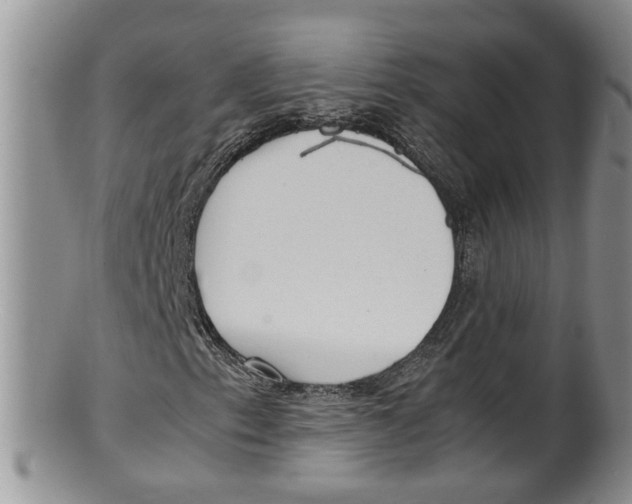 X0000100191153200806201351