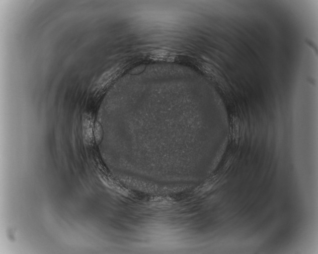 X0000100191154200806201351