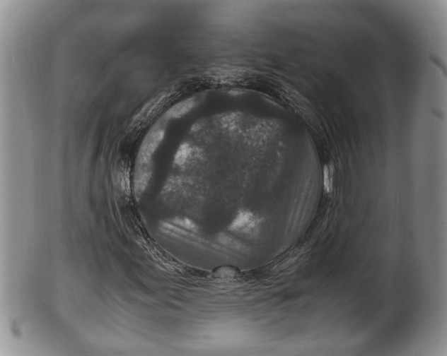X0000100191155200806201351