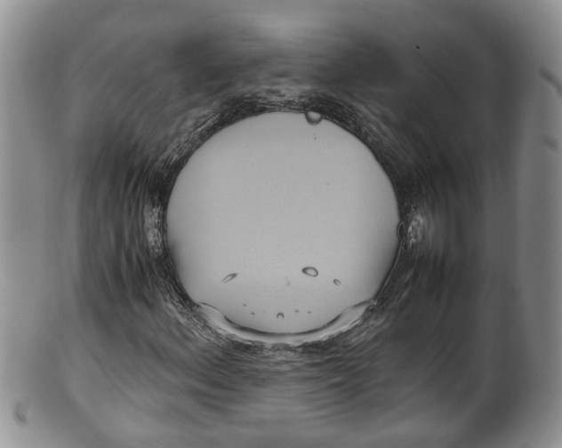 X0000100191156200806201351