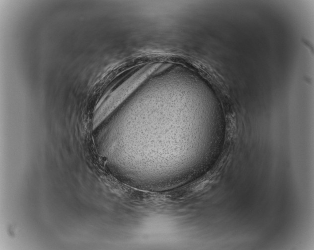 X0000100191157200806201351