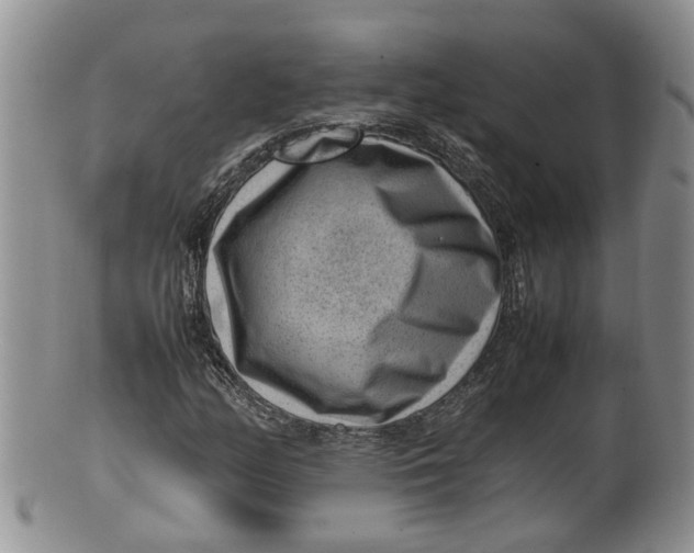 X0000100191158200806201351
