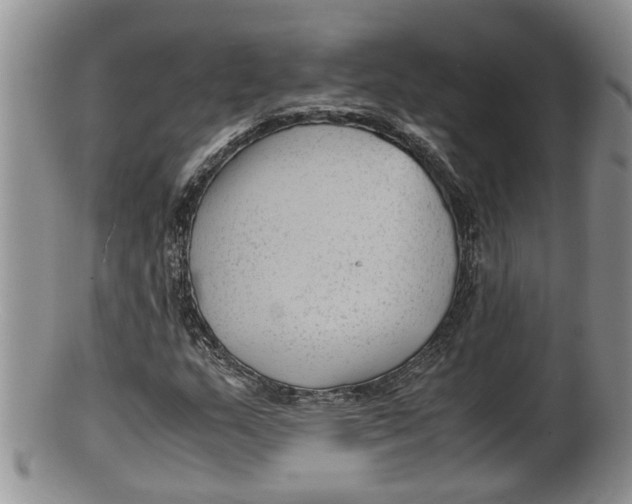 X0000100191159200806201351