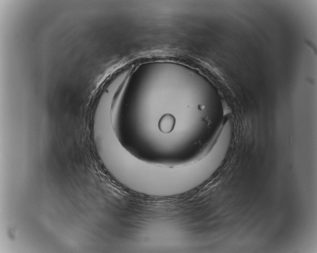 X0000100191160200806201351