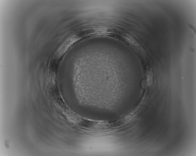 X0000100191161200806201351