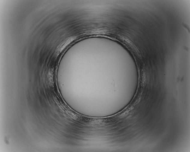 X0000100191162200806201351