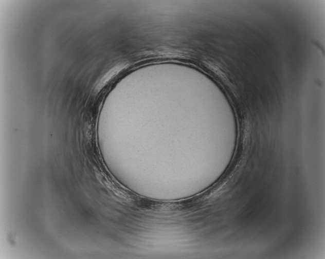 X0000100191163200806201351
