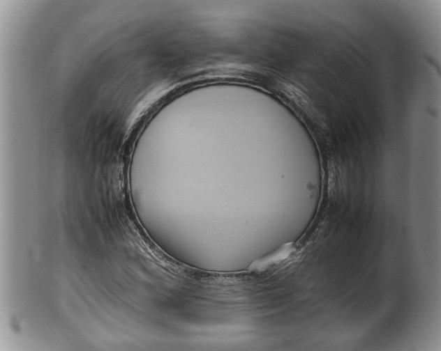 X0000100191164200806201351