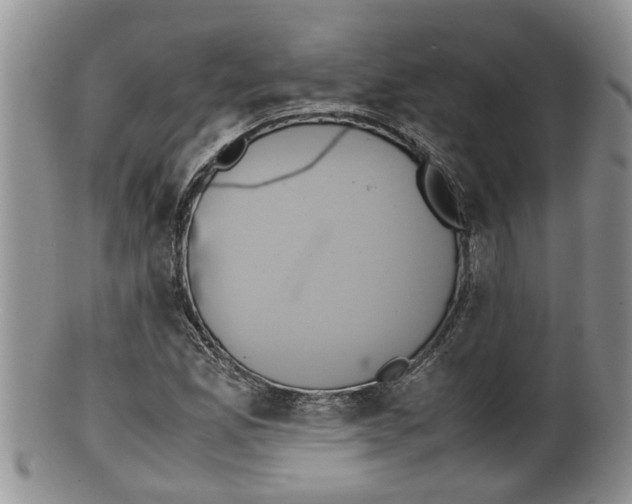X0000100191165200806201351