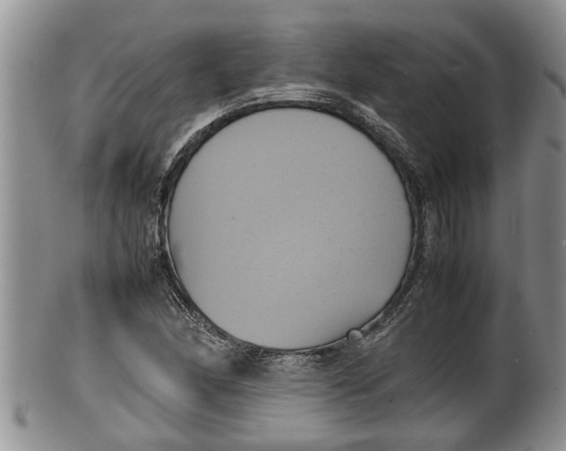 X0000100191166200806201351