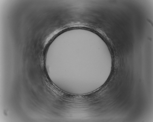 X0000100191167200806201351