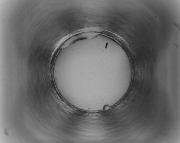 X0000100191168200806201351