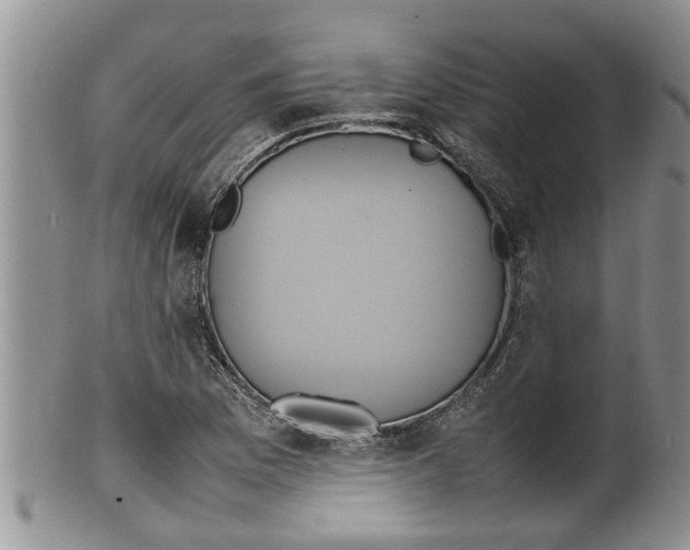 X0000100191169200806201351